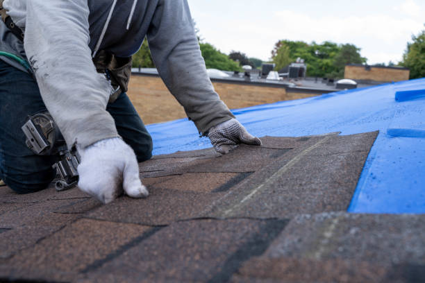Best Roof Repair Services  in Dallas, GA