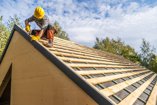 Best Roof Gutter Cleaning  in Dallas, GA