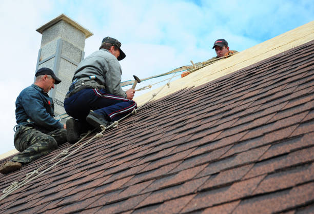 Best Roof Maintenance Services  in Dallas, GA